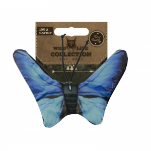 Blue Butterfly Blue Butterfly