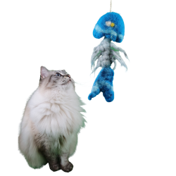 Speeltips voor katten