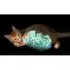 Night-time Cuddle Toy