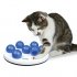 Cat Activity Solitaire